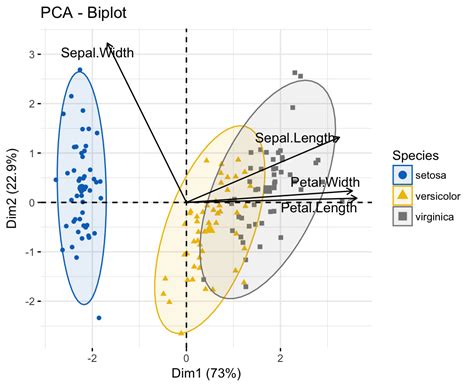 how to read pca plot|Interpret the key results for Principal Components Analysis.